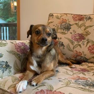 Meet your Posher, Cheryl